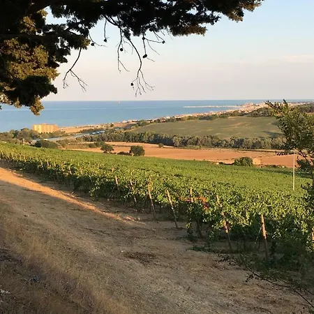 Nonna Rosa Civitanova *