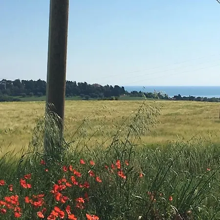 Nonna Rosa Civitanova Apartment Civitanova Marche